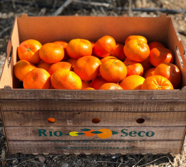 CAJA 15 KG MANDARINAS