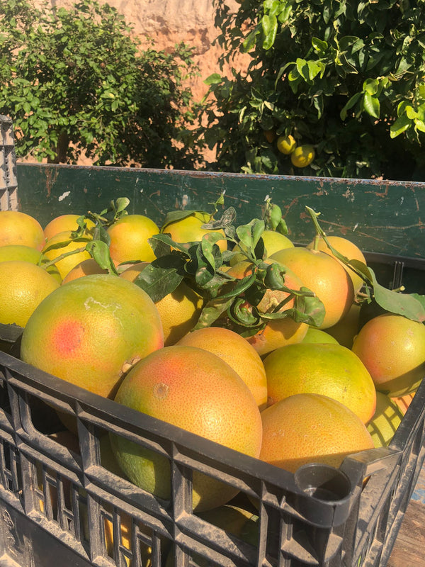 CAJA 10 KG POMELOS